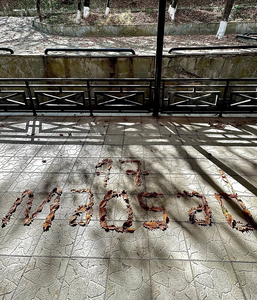 “17 Addım – 17 Məqsəd” layihəsi dayanıqlı gələcəyə doğru yola çıxdı